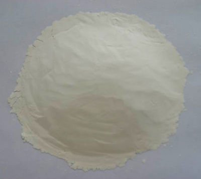 garlic powder 100mesh.jpg