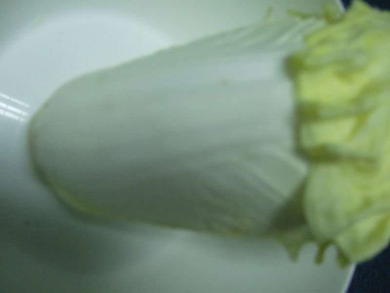 DSCF4198