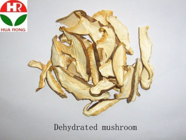 mushroom.JPG
