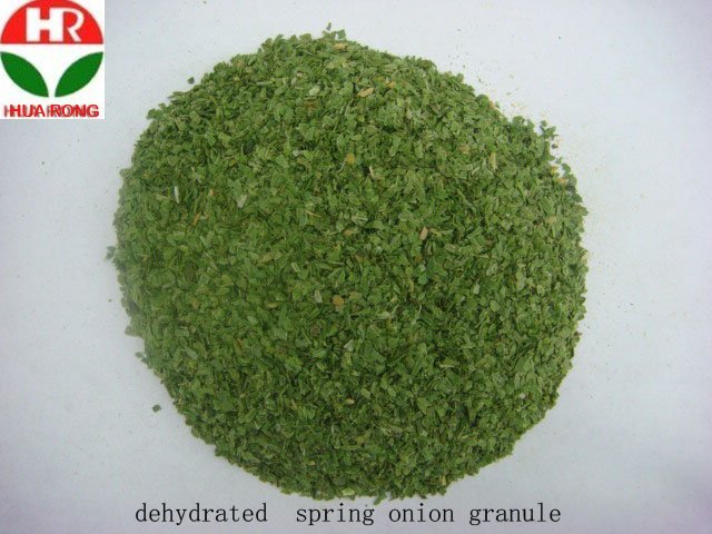 dehydrated spring onion granule.jpg