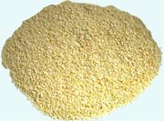 Garlic-Granule.jpg