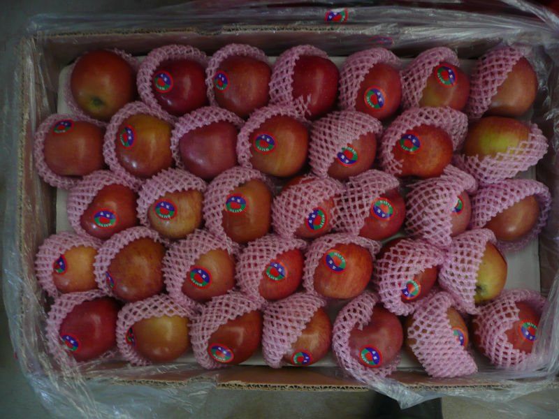 P1010945.JPG