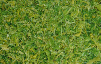 cabbage.jpg
