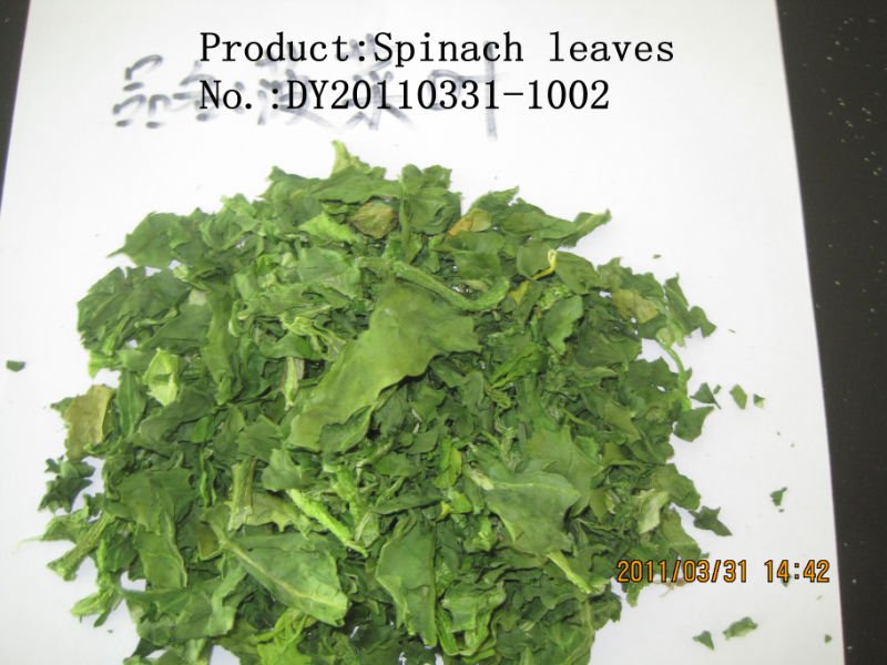 2011 spinach leaves_.jpg
