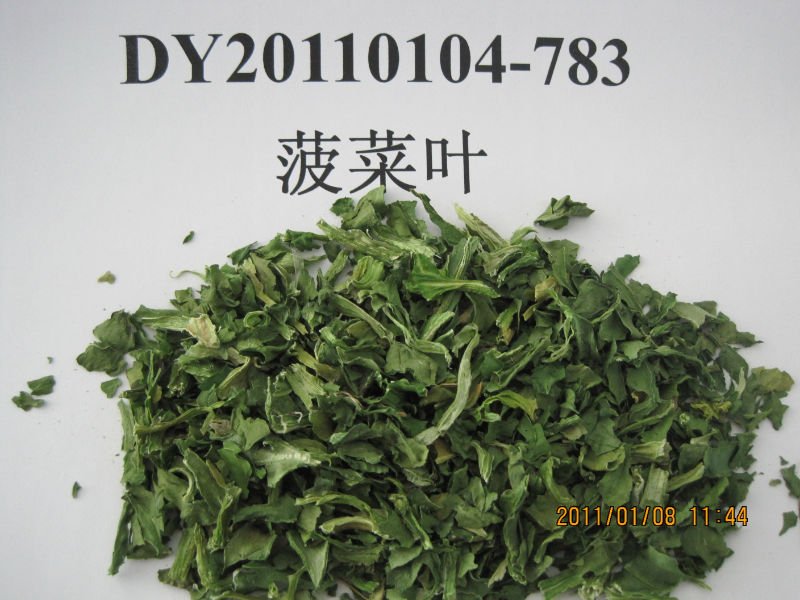 Spinach leaves.JPG