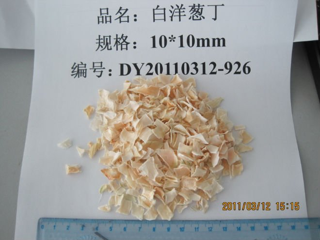 white onion  10x10mm.jpg