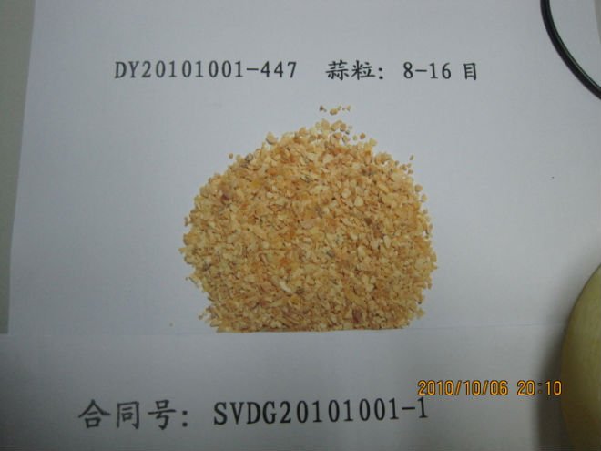 garlic granuel 8-16.jpg