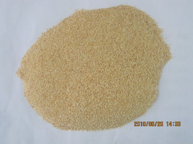 garlic grnule40-60.JPG