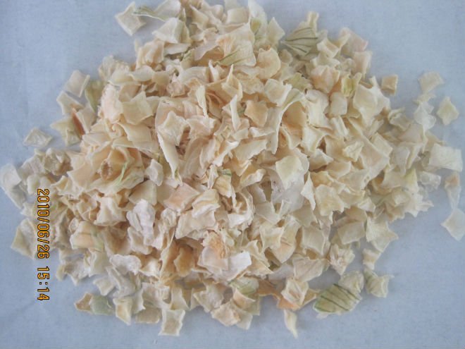 white onion1-3.JPG