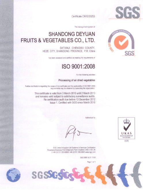 iso9001.jpg