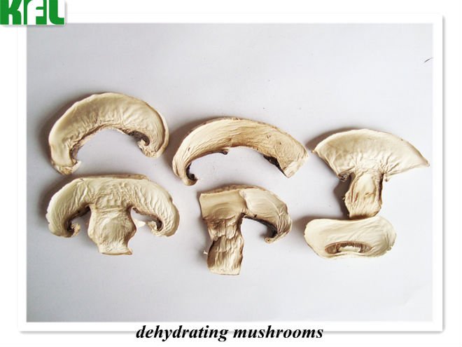 dehydrating mushrooms