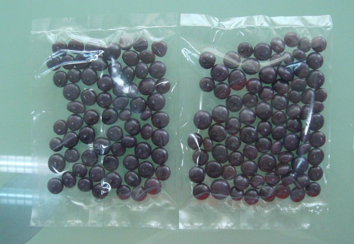 purple botton shape jelly bean.jpg