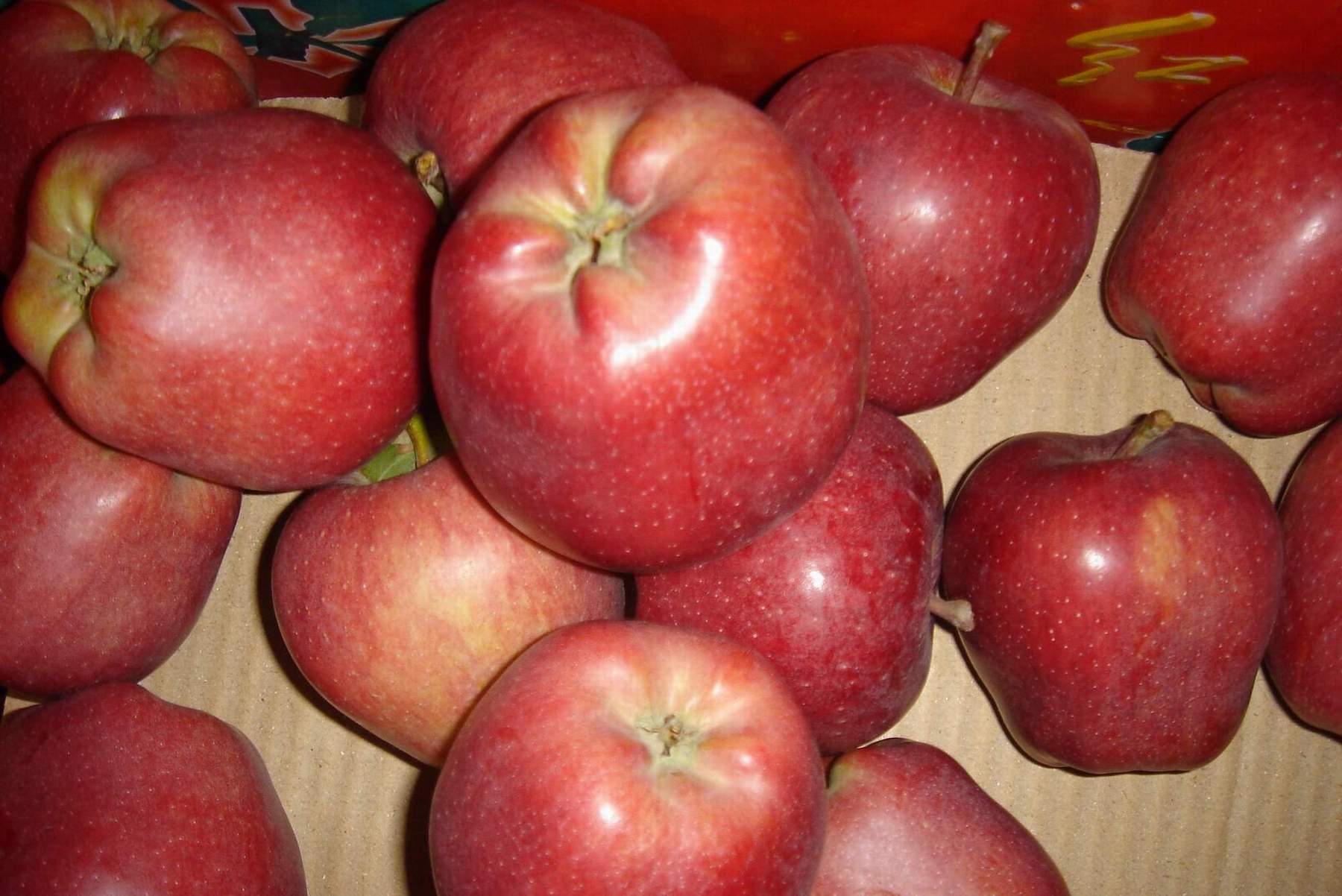 Huaniu Apple 0.JPG