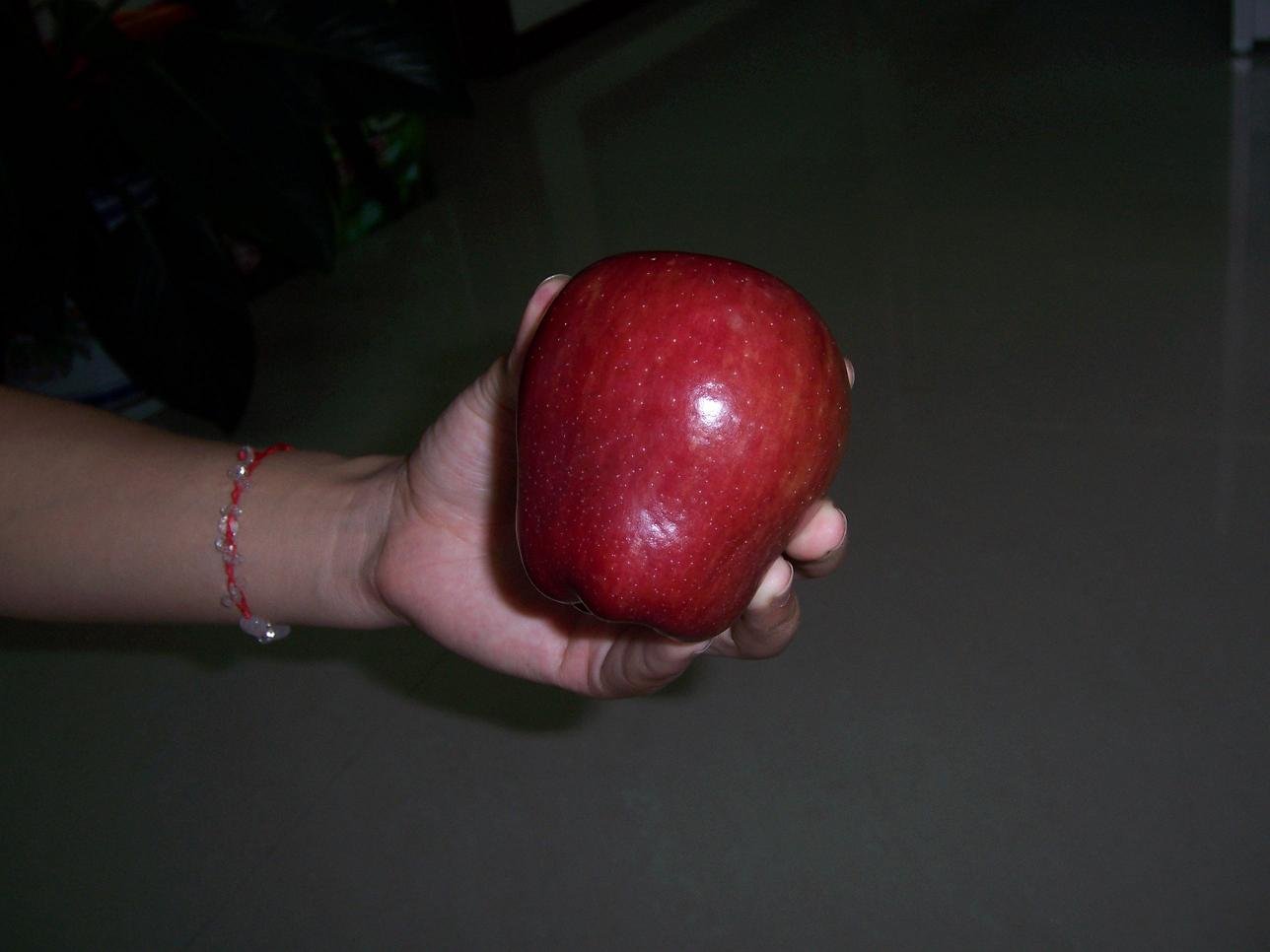 20080816.jpg
