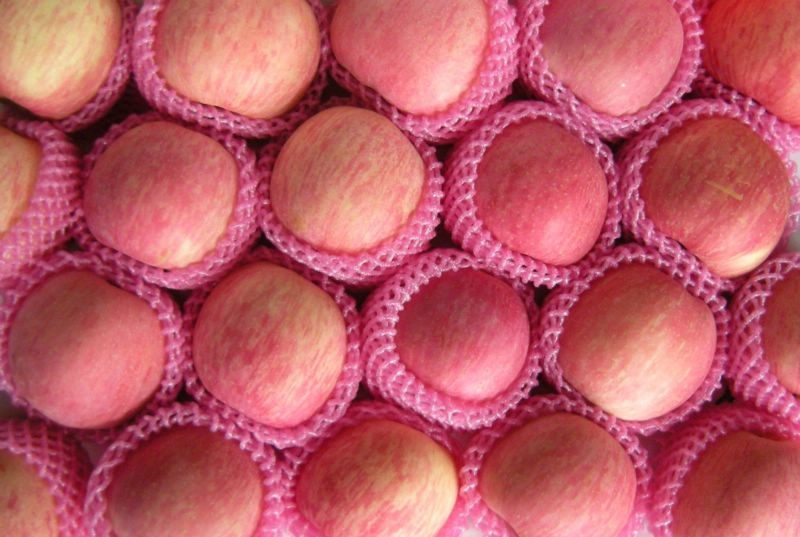 fuji apple-221_1.jpg