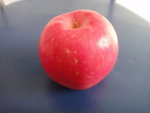 DSC01262.JPG