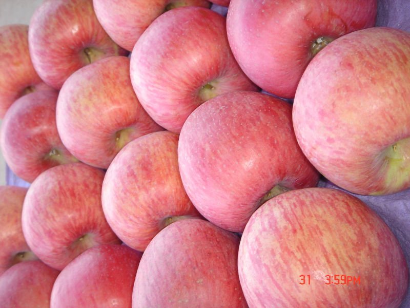 DSC02300