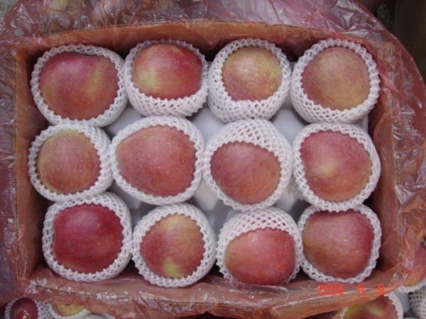 fuji apple 2.jpg