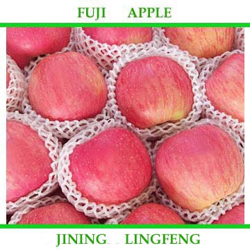 fujiapple 1.jpg