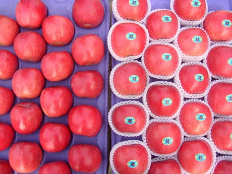 FUJI-APPLES.jpg