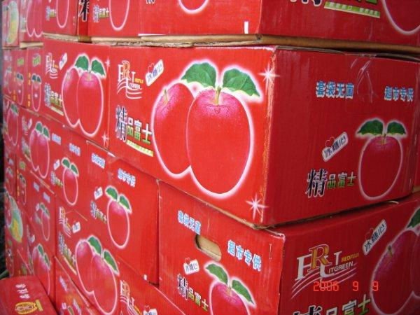 fuji apple 4.jpg
