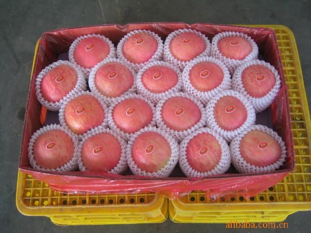 lhm969$1087384.jpg
