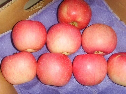 fuji apple a5_