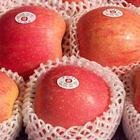 fuji apple014.jpg