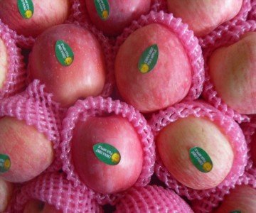 fuji apple01 (34).jpg