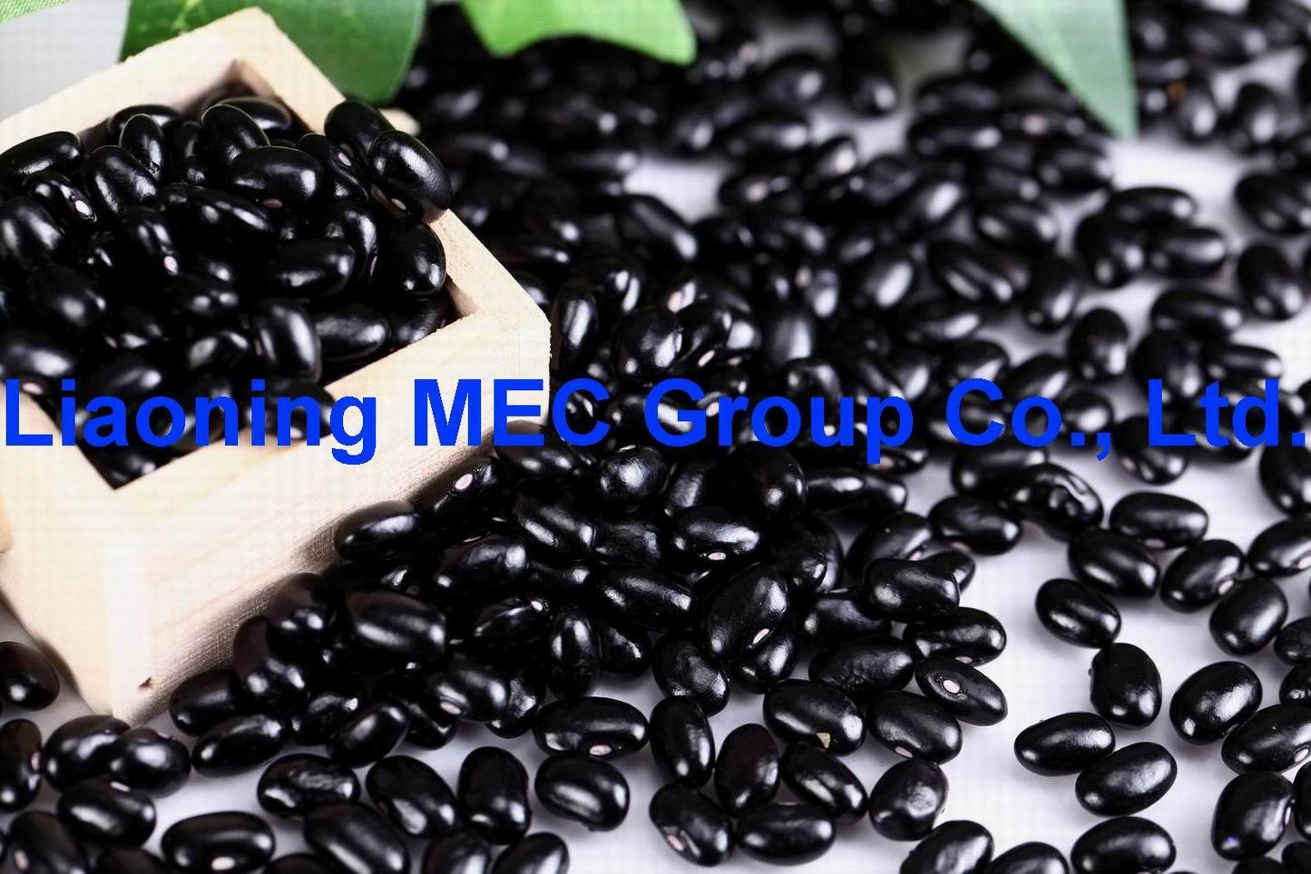  BLACK KIDNEY BEANS