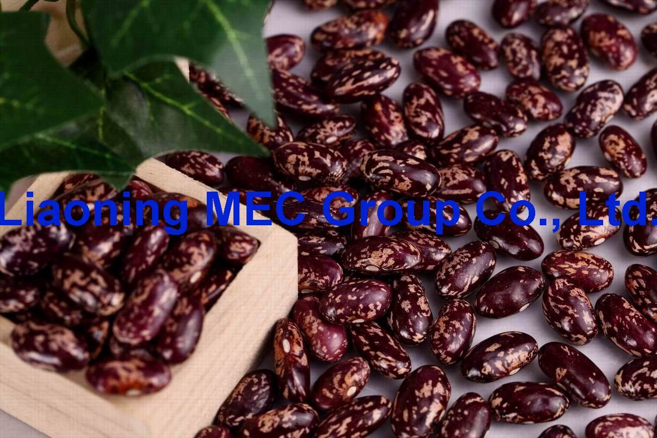  RED SPECKLED KIDNEY BEANS