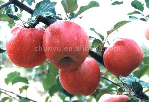 Fuji Apple.jpg