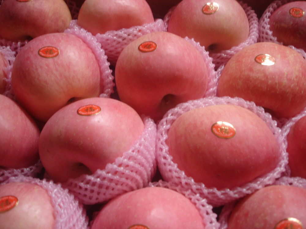 2007 apples  066.JPG