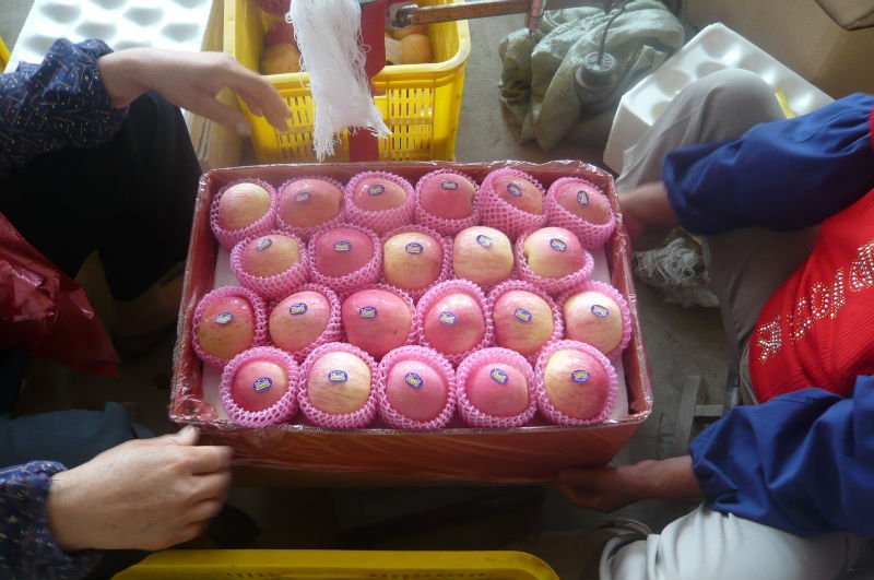 18kg,88pcs