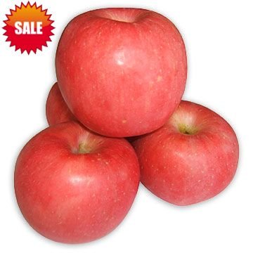 sale fuji
