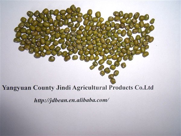 green mung beans 4