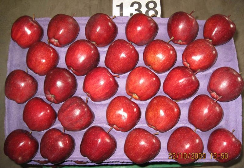 reddeliciousapple