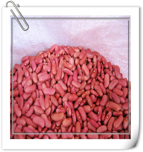 Light_red_kidney_bean