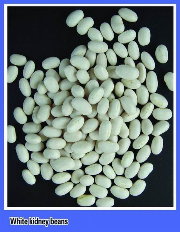 white kidney beans.jpg