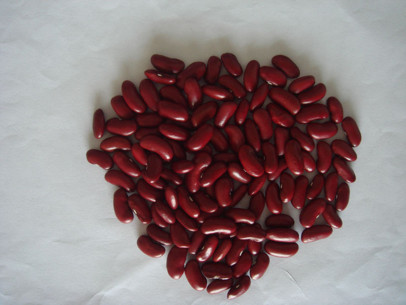 Dark Red Kidney Beans origin Northeast of China.JPG