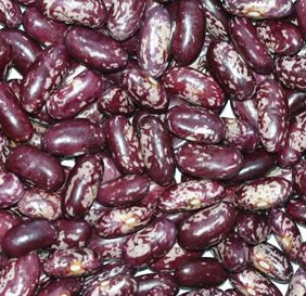 purple colored kidney beans.jpg