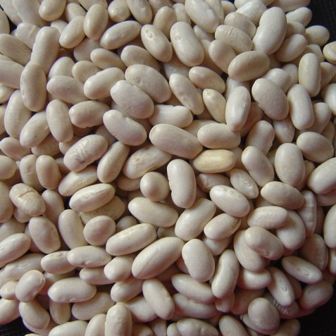 wkb(baishake).JPG