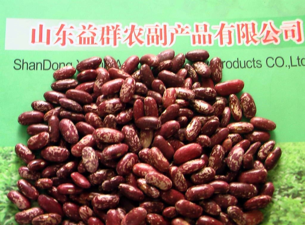  purple kidney bean