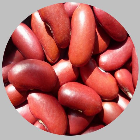 red kidney bean 2.jpg