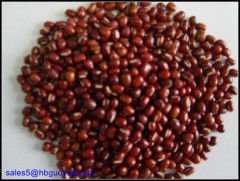 Adzuki-Beans-Red-2.jpg