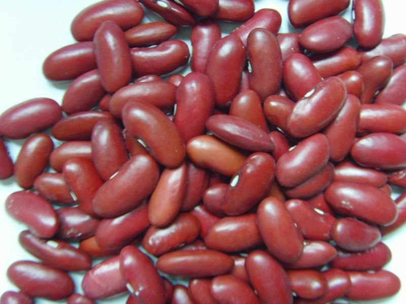 british type red kidney bean-RunYu-5.jpg