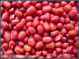 Red-Adzuki-Bean 1.jpg