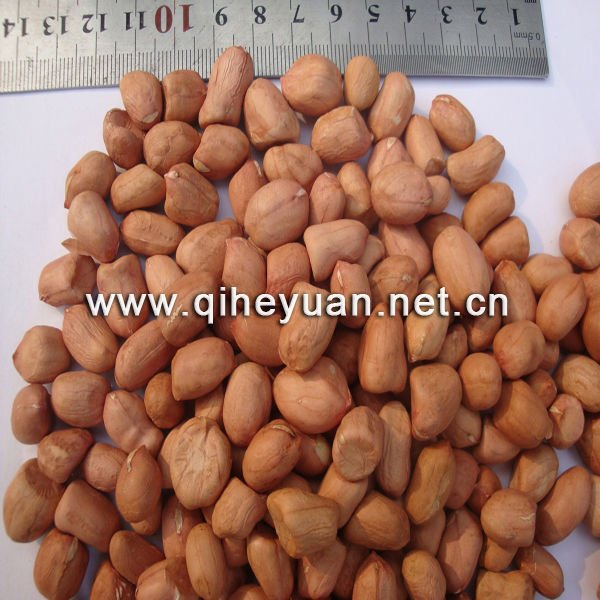 peanut kernel round type1.jpg