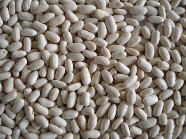 wkb baishake type 300-330