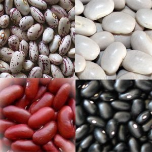 Bean.jpg